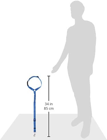 Dog Seat Belt 2019 New