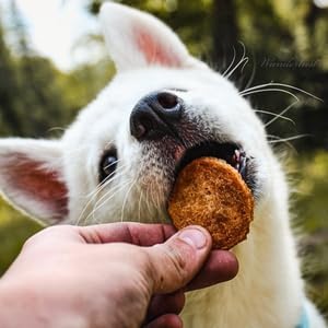 Farm To Pet Dog Training Treats