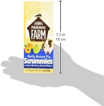 Supreme Gerty Scrummies Apple Strawberry Healthy Baked Bites 4.2Z