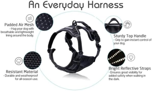 rabbitgoo Dog Harness 2 Leash
