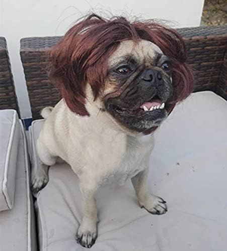 Dog Wig Pet Costumes