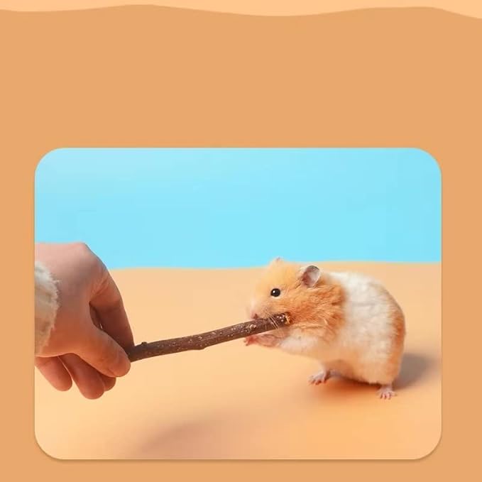 400g Sweet Bamboo Chew Toy for Rabbits Apple Wood Sticks for Hamster