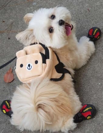 Pet Snack Backpack for Small Dogs & Cats