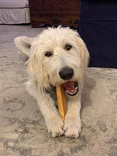 EcoKind Premium Gold Monster Yak Cheese Himalayan Dog Chew 1 Chew
