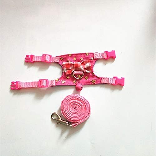 Small Animal Outdoor Walking Vest Harness and Leash