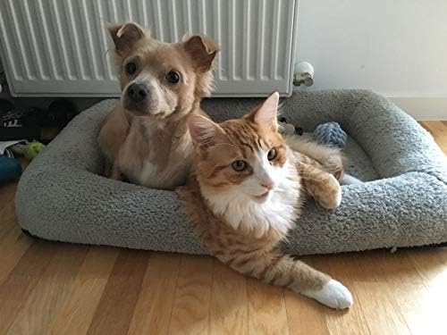 Enjoying Soft Plush Cat Bed Mat 16" x 22" Pet Cushion with Pillow Around for Dogs Cat Curling Sleep Cat Pad for Cat Carrier/Crate Dog Self-Warm Bed