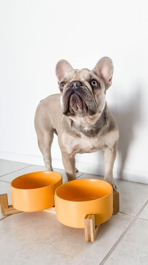 SPUNKYJUNKY Ceramic Dog and Cat Bowl with Wood 28.7 OZ