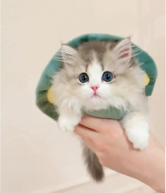 Cute Cat Costumes Turtle Shell Kawaii Kitten Clothes Dog Puppy Vest Pet Apparel (Small