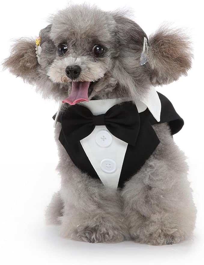 Puppy Tuxedo with Detachable Bowtie Prom Wedding Formal Wear Prince Costume for Small Dog (X-Small