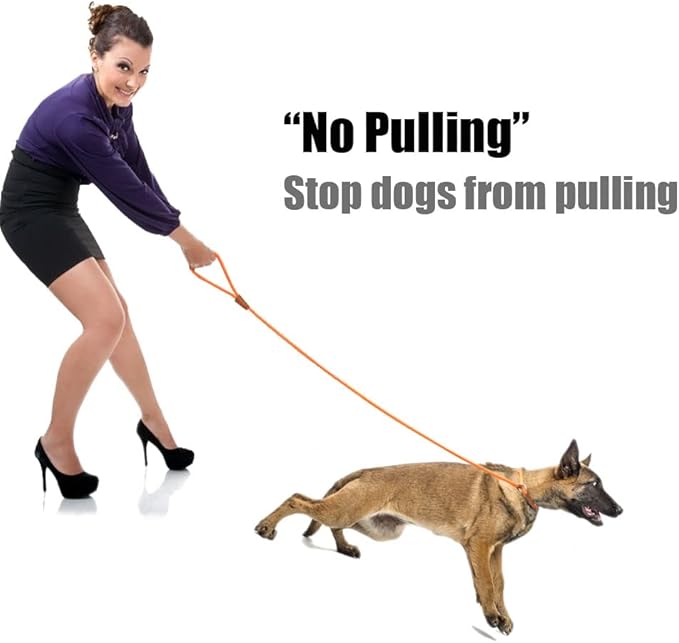 lynxking Dog Leash Slip Lead 5 6 8