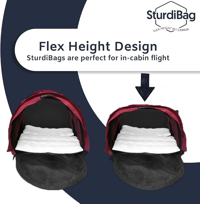 SturdiBag Large Pet Travel Carrier: Flexible Height for Cat and Dog Soft Sided with Safety Clips and Seatbelt Straps 18" x 12" x 12" (PN: SB2-PRO-HP)