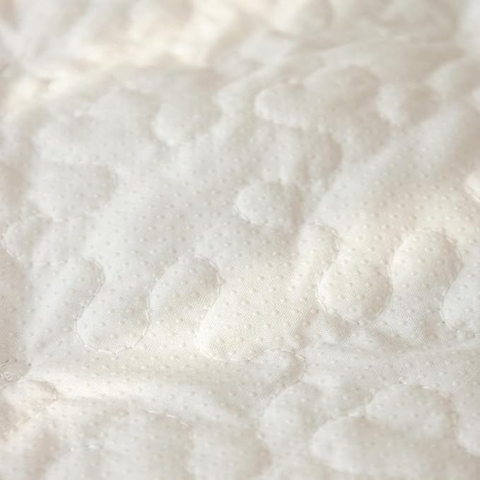 Pet Couch Cover for Sofa (27x59 inch,