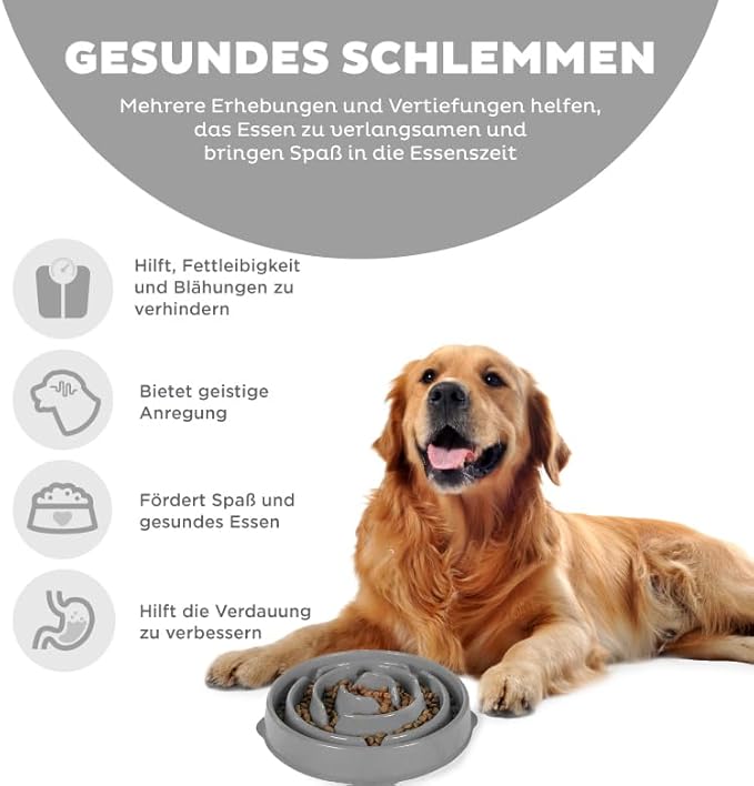 Outward Hound Fun Feeder Slo Bowl