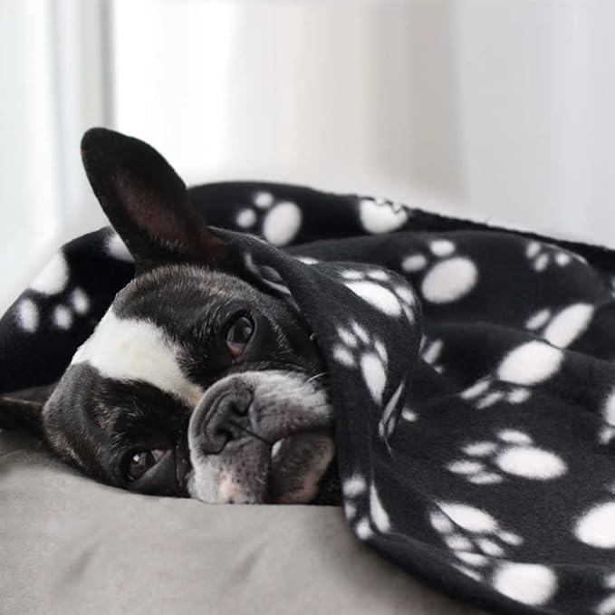 EAGMAK Cute Dog Cat Fleece Blankets with Paw Prints for Kitten Puppy and Small Animals Pack of 6 (Black