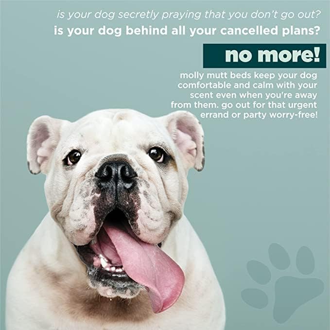 Molly Mutt Water-Resistant Dog Bed Liner 36”x 45”x 4.75”