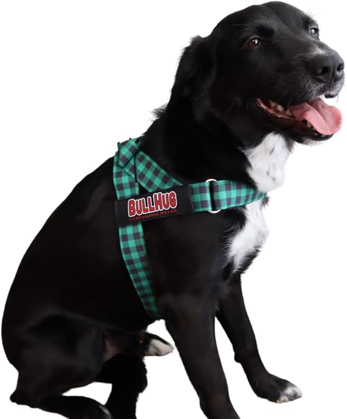 BULLHUG Harness – Made for Larger Chested Dogs Like English Bulldogs
