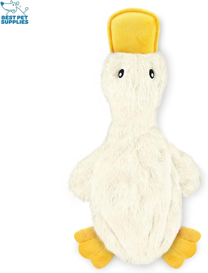 Best Pet Supplies Crinkle Dog Toy for Small