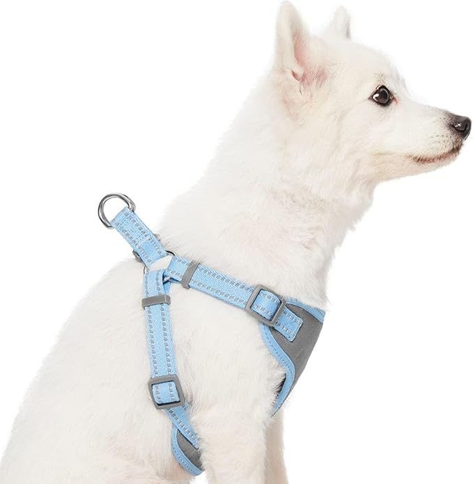 Blueberry Pet Essentials Pastel Color Reflective Matching Dog Harness Vest and Seatbelt Set in Baby Blue