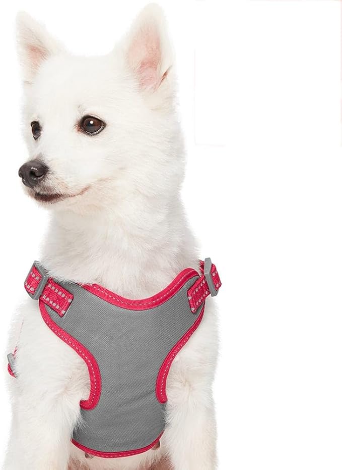 Blueberry Pet Essentials Pastel Color Reflective Matching Dog Harness Vest and Seatbelt Set in Very Berry