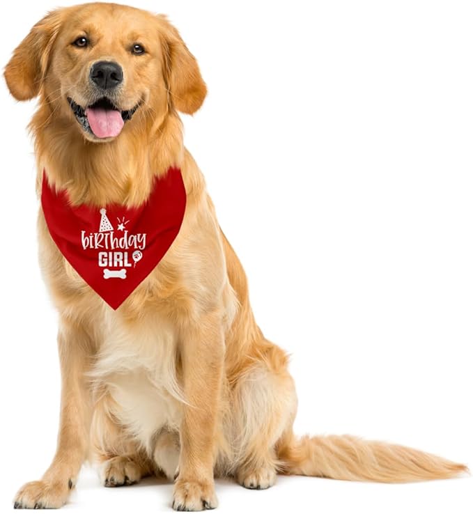 Birthday Girl Dog Bandanas, Dog Birthday Bandana, Birthday Bandana for Small Medium Dog, Pet Accessories for Dog, Happy Birthday Dog Bandana for Girls, Dog Birthday Party Supplies, Pet Scarf (B23)