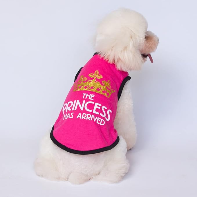 Dog Shirt 3 Pcs Summer Cotton Vests for Small Dog Cats Boy Girl (Princess, X-Small)