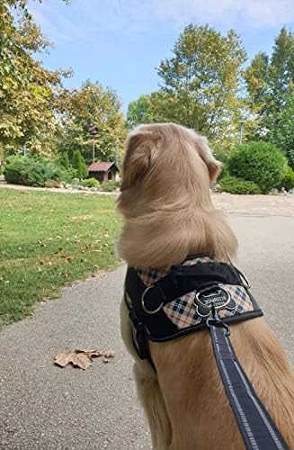 Joyride Harness 2-in-1 Leash with Seat Belt Combo 43” Dual