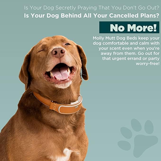 Molly Mutt Huge Dog Bed Cover 36”X45”X5”- 100% (Dd35Ac)