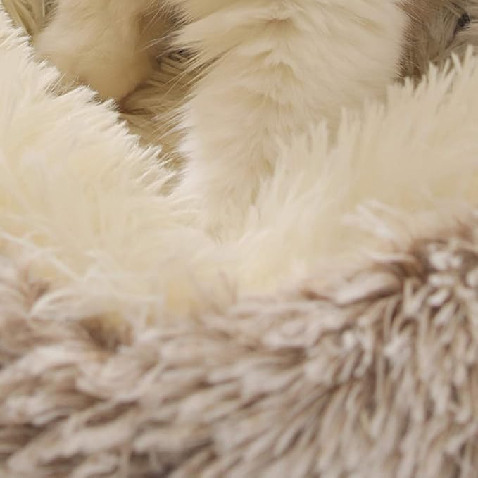 Geizire Dog Bed & Cat Bed