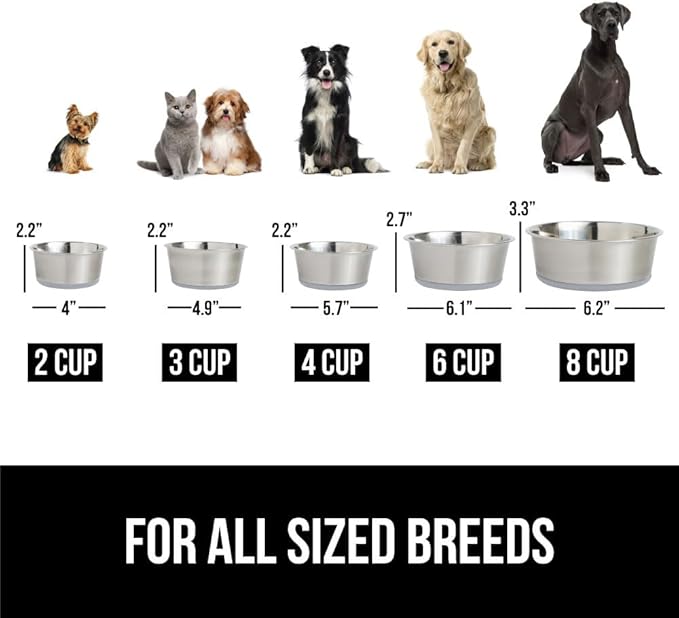 Gorilla Grip Stainless Steel Metal Dog Bowl Set of 2 6 Cups (48 fl