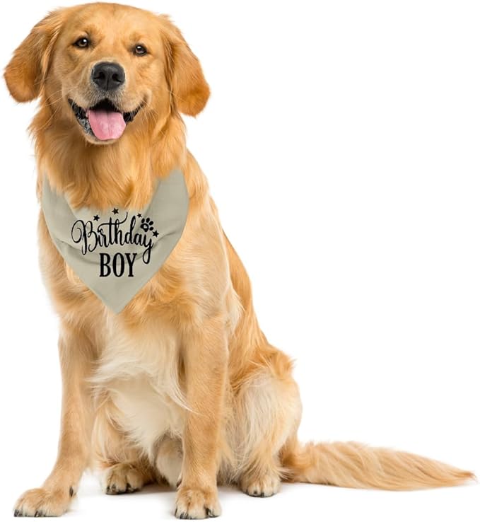 Birthday Dog Bandana 1st Birthday (A19)