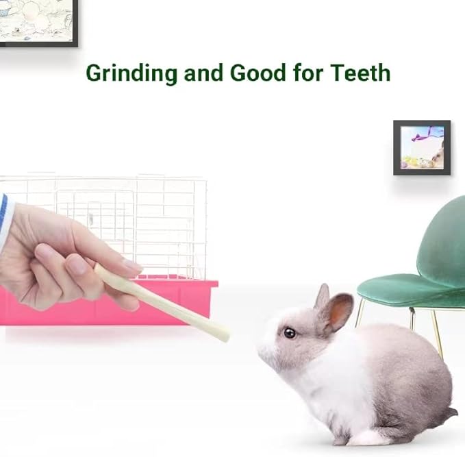 300g Snacks Sweet Bamboo Chew Toy for Rabbits Chew Sticks for Hamster Chinchilla Guinea Pig