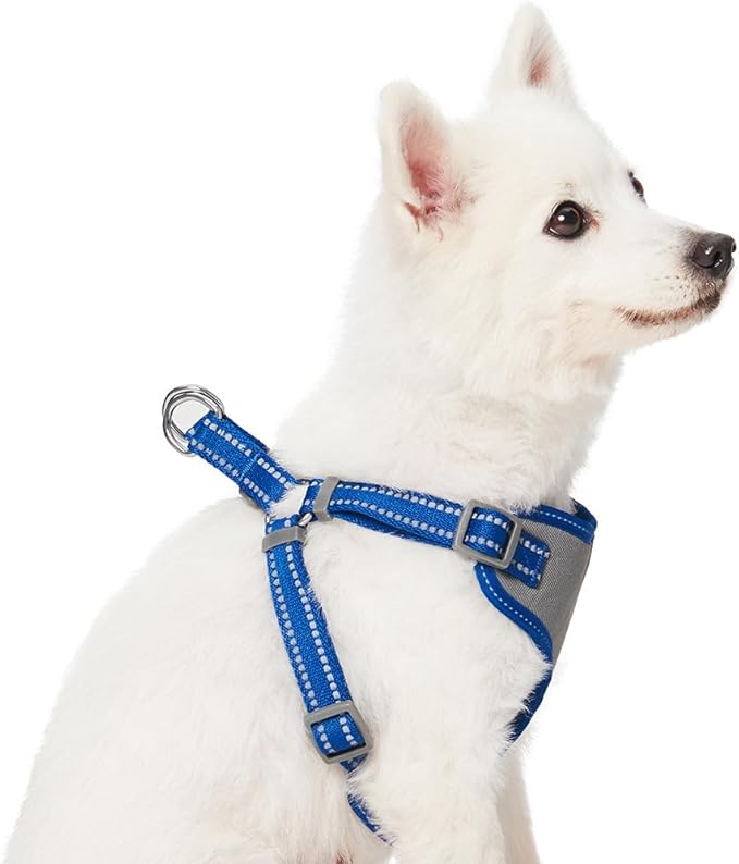Blueberry Pet Essentials Pastel Color Reflective Matching Dog Harness Vest and Seatbelt Set in Navy