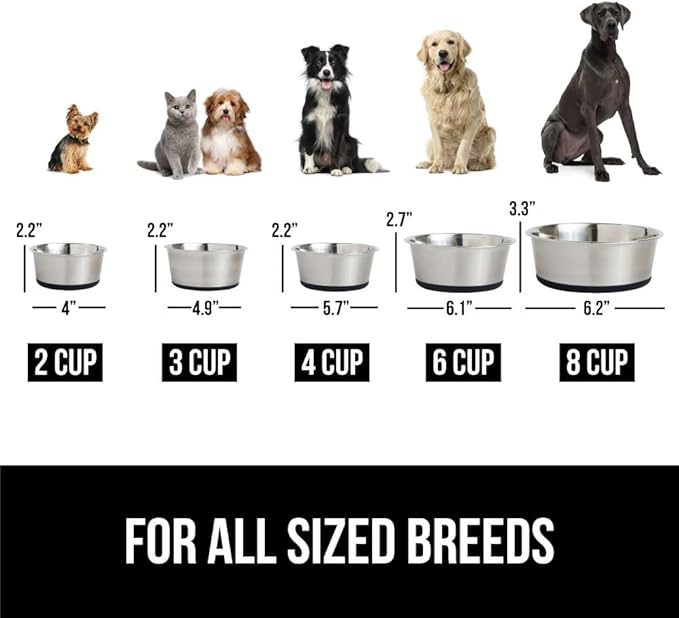 Gorilla Grip Stainless Steel Metal Dog Bowl Set of 2 2 Cups (16 fl