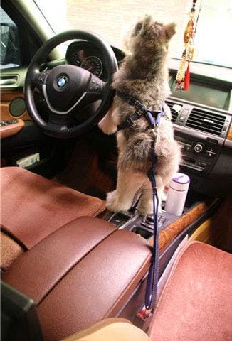 Adjustable Dog Seat Belt Pet Car Vehicle Safety