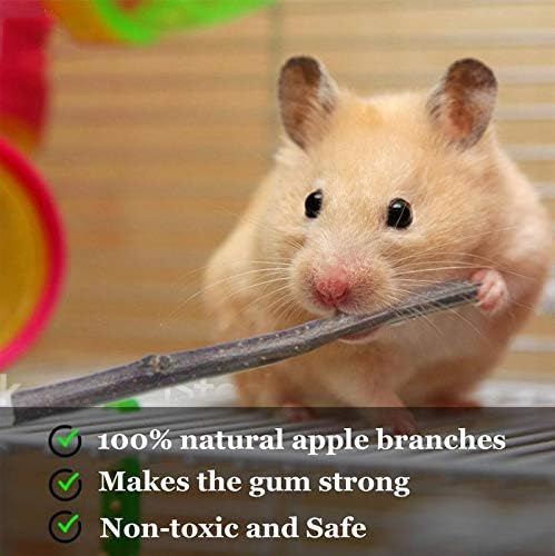 Natural Apple Sticks 18oz(500g) Small Animals Molar Wood