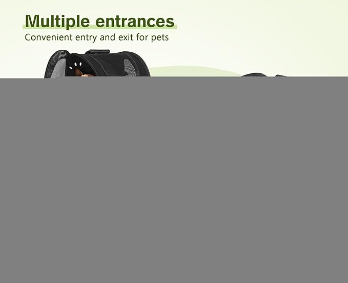 Pecute Pet Carrier Backpack