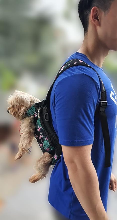 Pet Carrier Backpack Front Facing for Pet Dogs or Pet Cats (Large