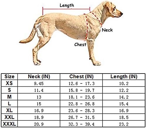 Creation Core Windproof Plush with Sport Vest Dog