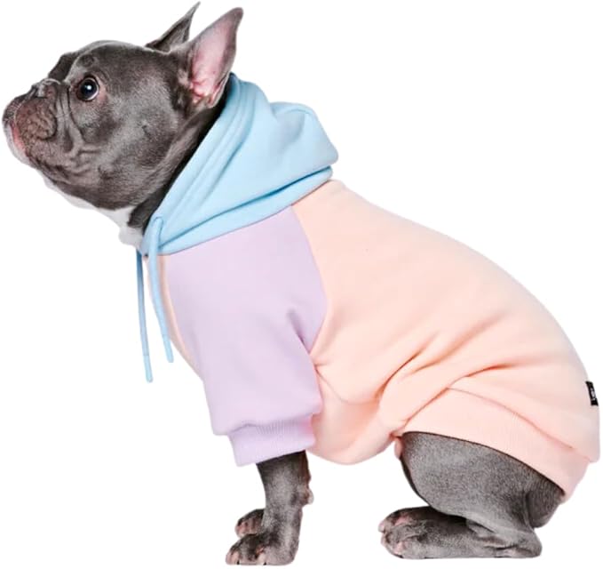 Spark Paws Dog Hoodie
