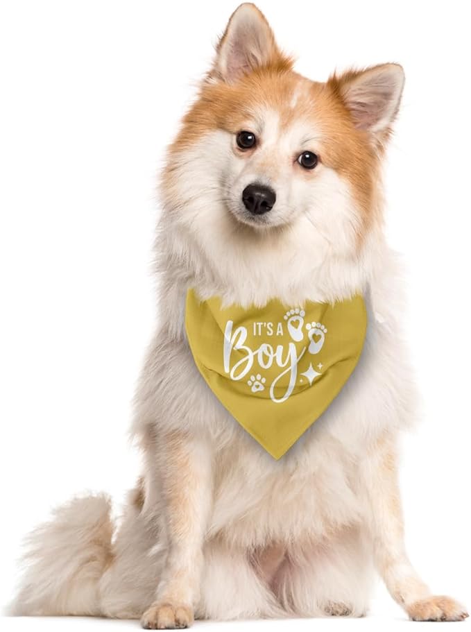 It's A Boy Dog Bandana, Yellow Dog Bandana, Gender Reveal Dog Bandana, Dog Bandana Pregnancy Announcement, Dog Bandana for Small Medium Large Dog, Pet Dog Triangle Scarf, Gift for Dog Lover (E58)