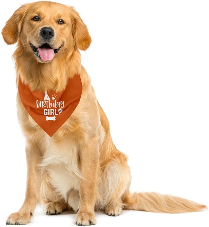 Dog Birthday Bandana (A25)