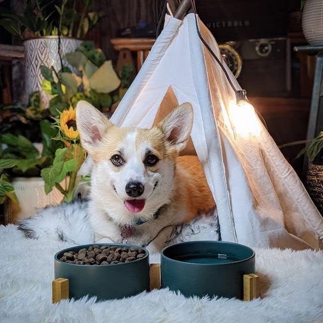 SPUNKYJUNKY Ceramic Dog and Cat Bowl with Wood 28.7 OZ