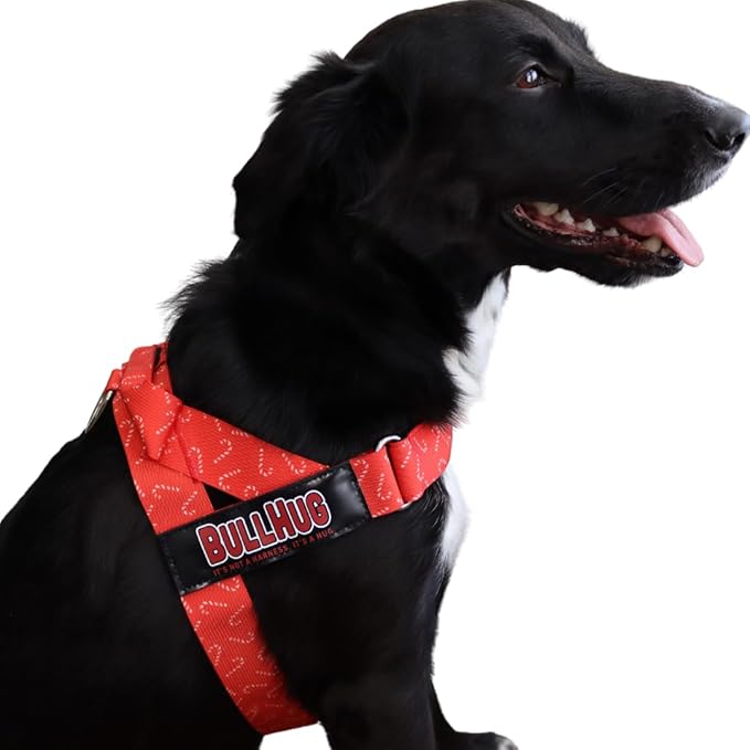 BULLHUG Harness – Made for Larger Chested Dogs Like English Bulldogs