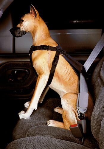 Kwik Klip Car Safety Harness