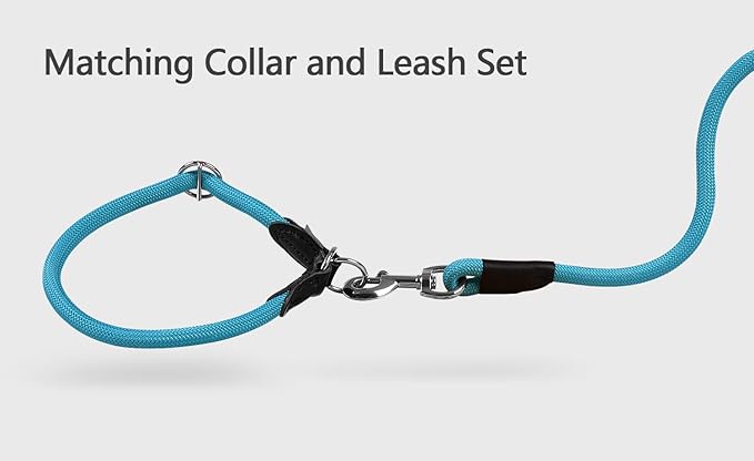 Dog Leash ((1/3") - 6FT, Light