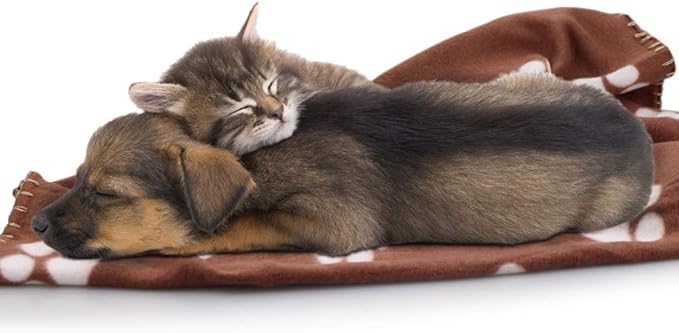 Comsmart Warm Paw Print Blanket/Bed Cover for Dogs