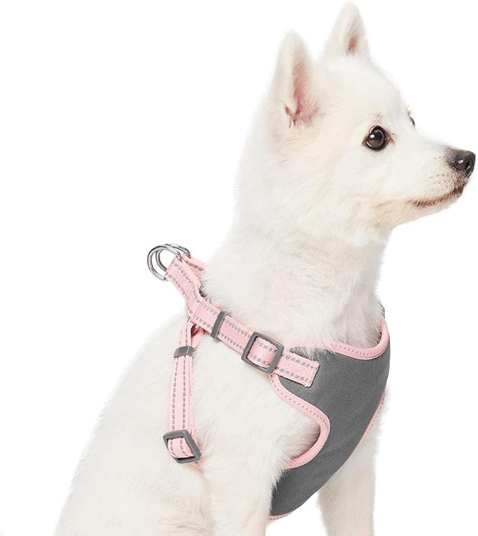 Blueberry Pet Essentials Pastel Color Reflective Matching Dog Harness Vest and Leash Set in Baby Pink 4 ft