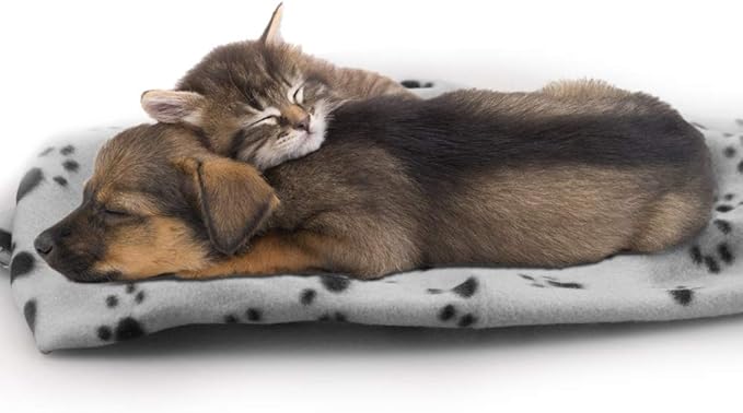 Comsmart Warm Paw Print Blanket/Bed Cover for Dogs