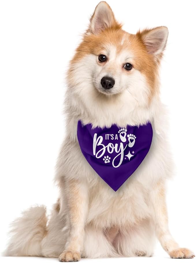 It's A Boy Dog Bandana, Purple Dog Bandana, Gender Reveal Dog Bandana, Dog Bandana Pregnancy Announcement, Dog Bandana for Small Medium Large Dog, Pet Dog Triangle Scarf, Gift for Dog Lover (E56)