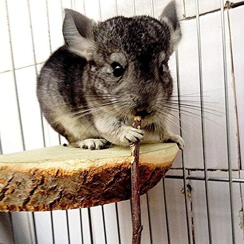 Natural Apple Sticks 10oz(300g) Small Animals Molar Wood